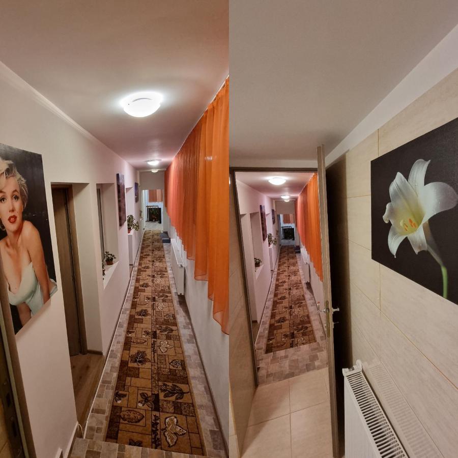 Roca House Villa Brasov Ngoại thất bức ảnh