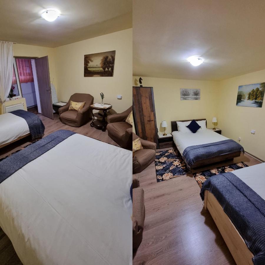 Roca House Villa Brasov Ngoại thất bức ảnh