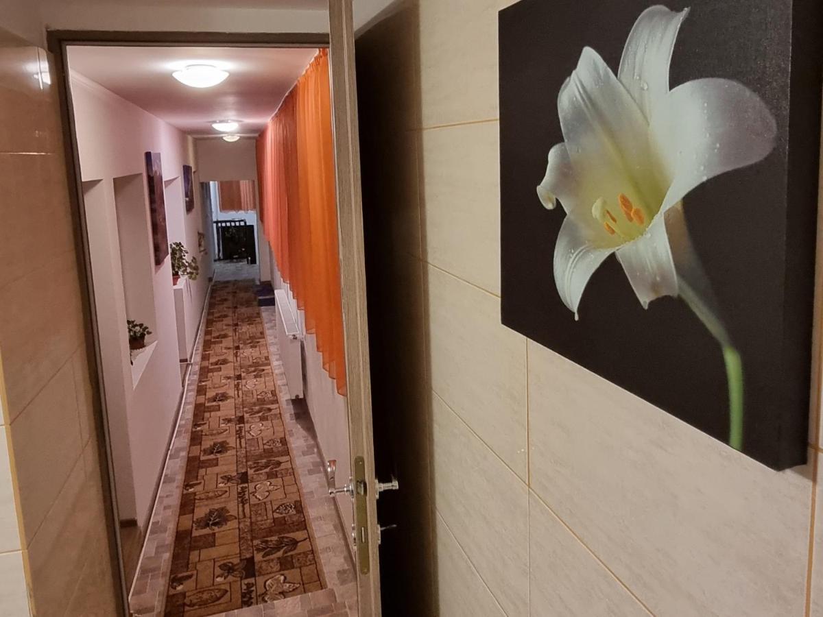Roca House Villa Brasov Ngoại thất bức ảnh
