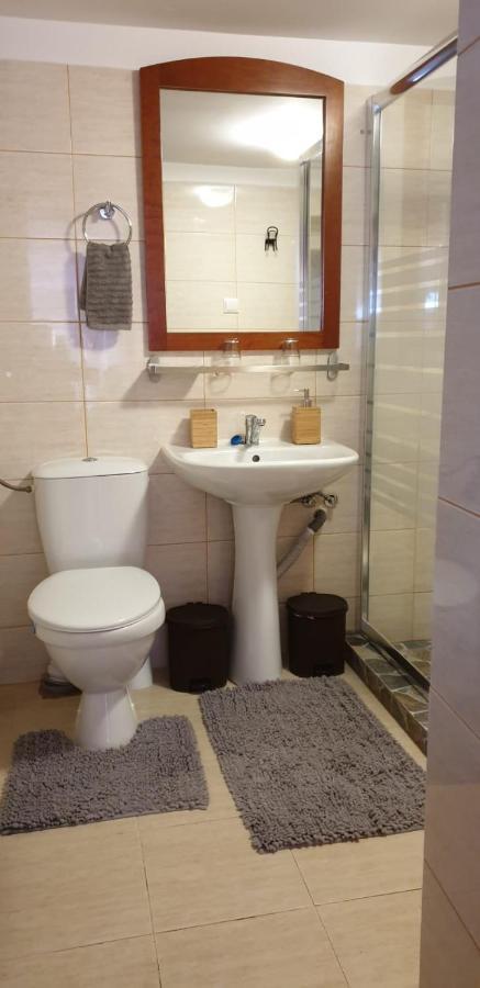 Roca House Villa Brasov Ngoại thất bức ảnh